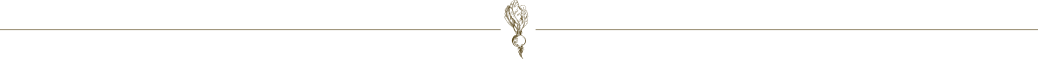 footer divider