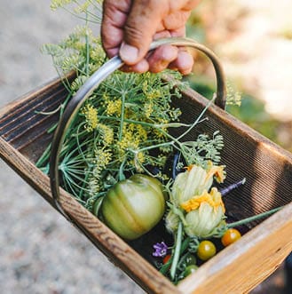 Chia seed pudding with fruit
