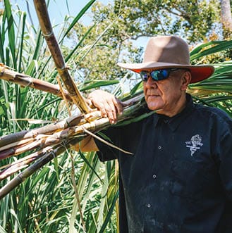 hand crafted martinis