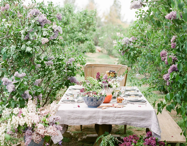 Summer outdoor brunch in lilac fields