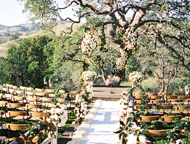 Beautiful Outdoor Wedding